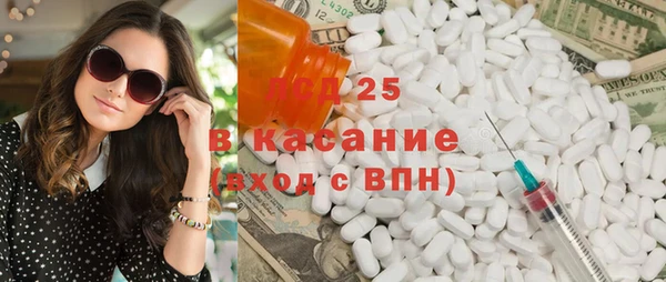 стафф Богородицк